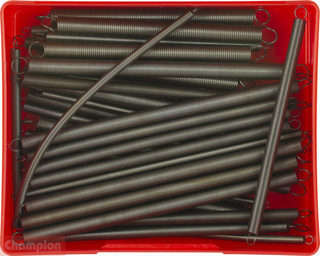Champion Accelerator Springs Assortment
