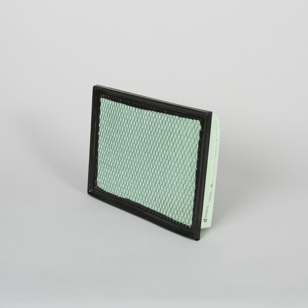 P903541 Air Filter Panel