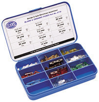 Garage & Auto Electrical Fuse Assortment Kit