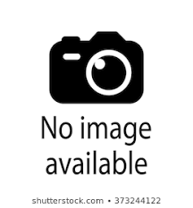 Norgren Oil Removal Element