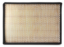 AF55787 Air Filter Cabin